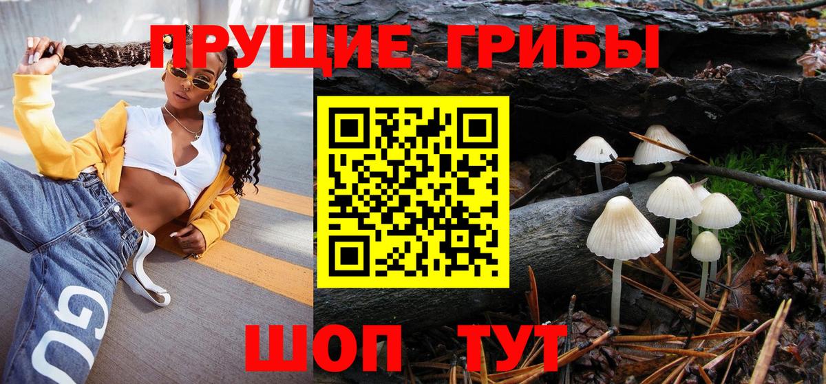Изобильный  Псилоцибиновые грибы Cubensis  Вход с VPN 